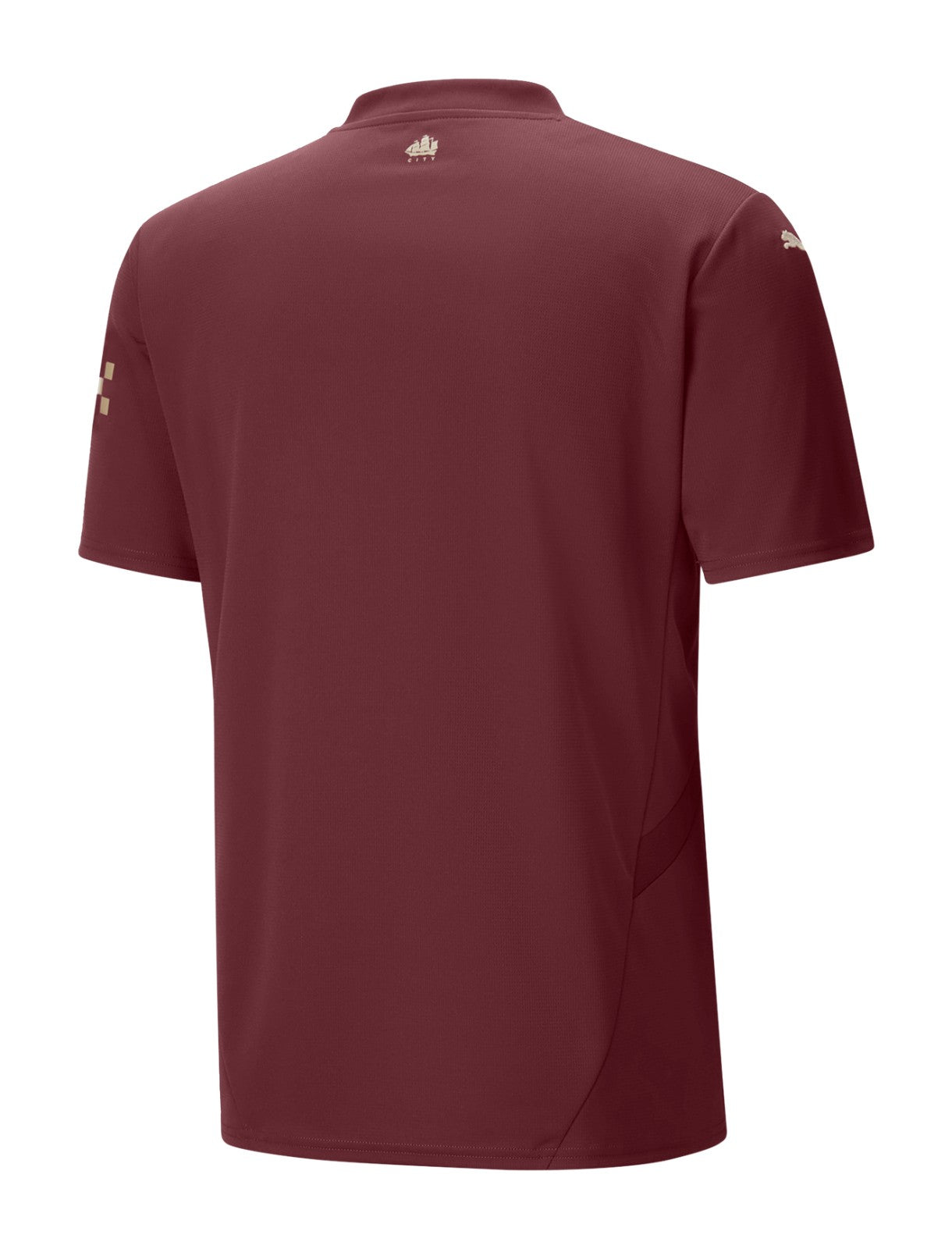 MANCHESTER CITY 24/25 THIRD JERSEY