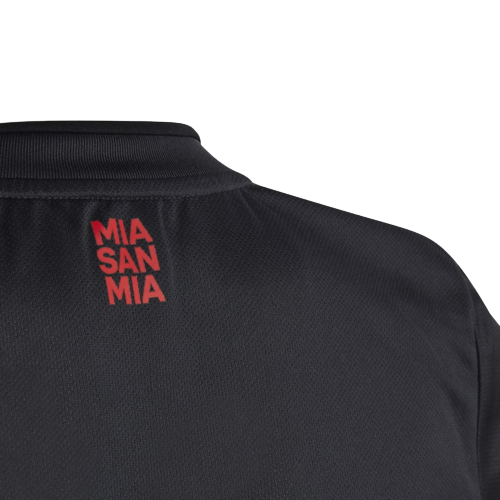 F.C BAYERN MUNICH 22/23 THIRD JERSEY