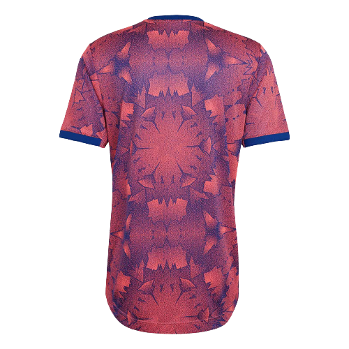 JUVENTUS F.C 22/23 THIRD JERSEY